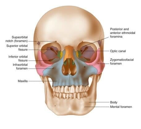 An Extensive Guide to Understanding Lefort Fracture Types and Their Implications